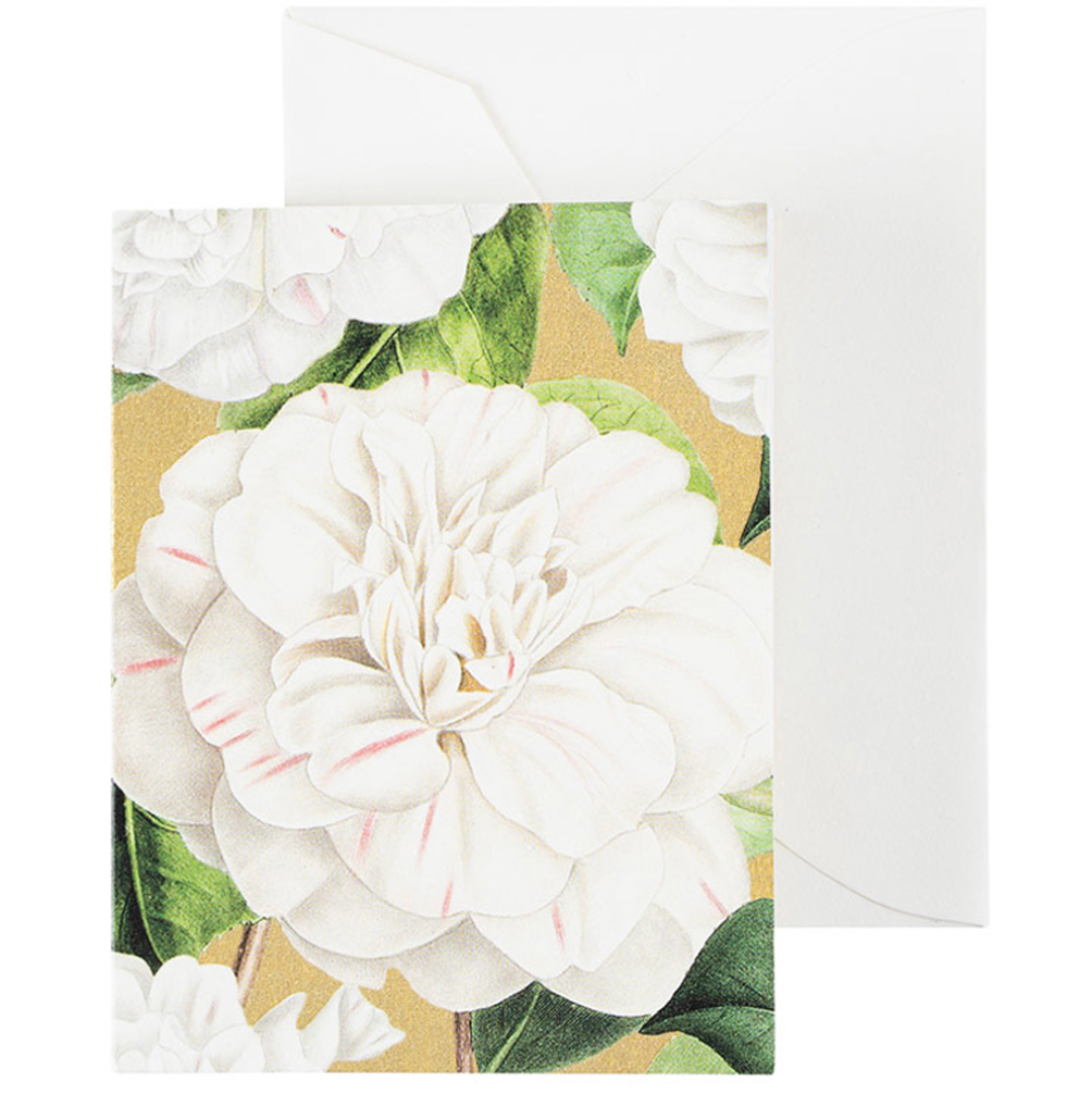 PAQUETE DE 4 TARJETAS CON SOBRE CAMELIA BLANCA