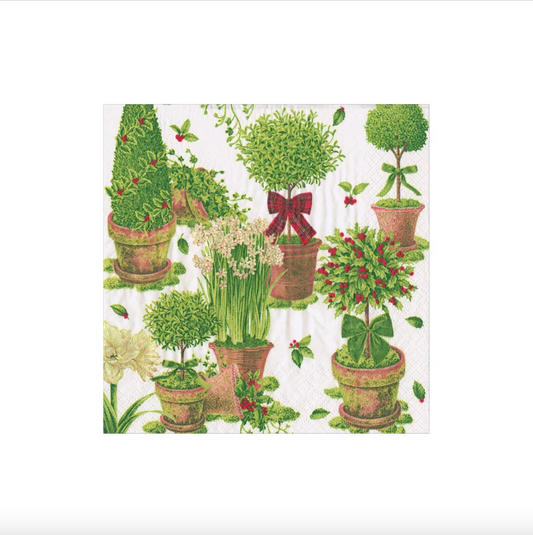 SERVILLETAS DE PAPEL DE CÓCTEL CON MACETAS DE INVIERNO – PACK DE 20